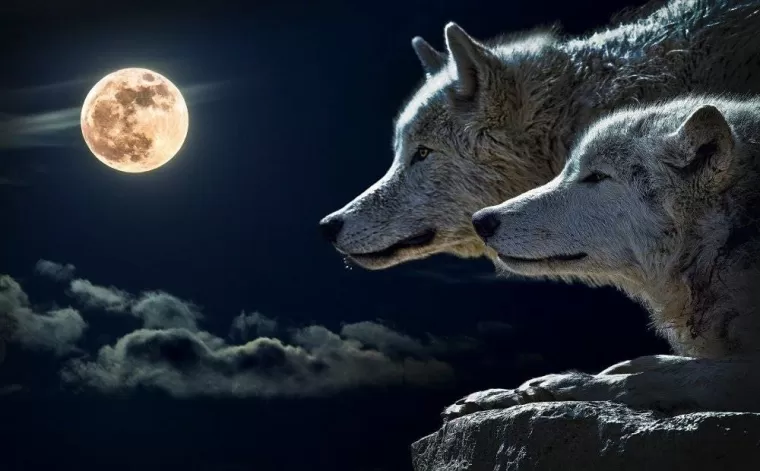 Daniella Magnétiseur à Allinges, proche de Thonon les Bains et les Effets ou Méfaits de la Pleine Lune ????!!!!, Allinges, Daniella